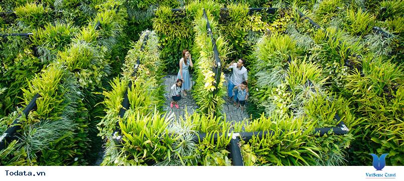 HỒ CHÍ MINH - ĐÀ NẴNG - HỘI AN Dịp Lễ 30/4 - Ảnh 2